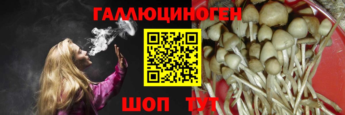 Галлюциногенные грибы прущие грибы  как найти   Комсомольск-на-Амуре  Галлюциногенные грибы Magic Shrooms  Вход с VPN 